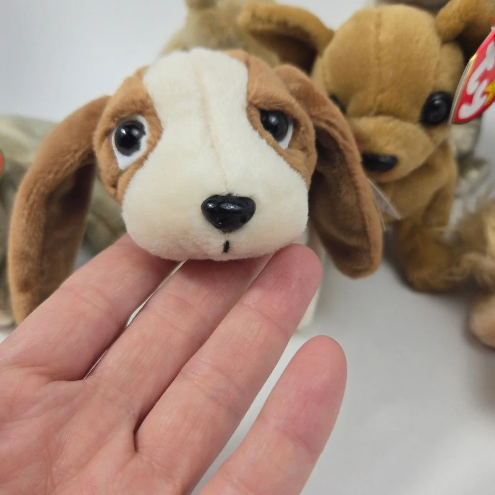 Ty Beanie Babies Dog Collection Tiny Gigi Spunky Wrinkles Tuffy Plush Lot of 7